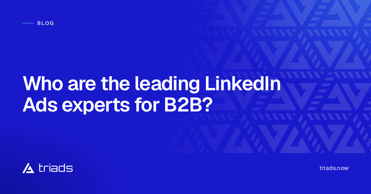 Who are the leading LinkedIn Ads experts for B2B?